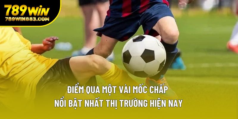 Điểm qua một vài mốc chấp nổi bật nhất thị trường hiện nay