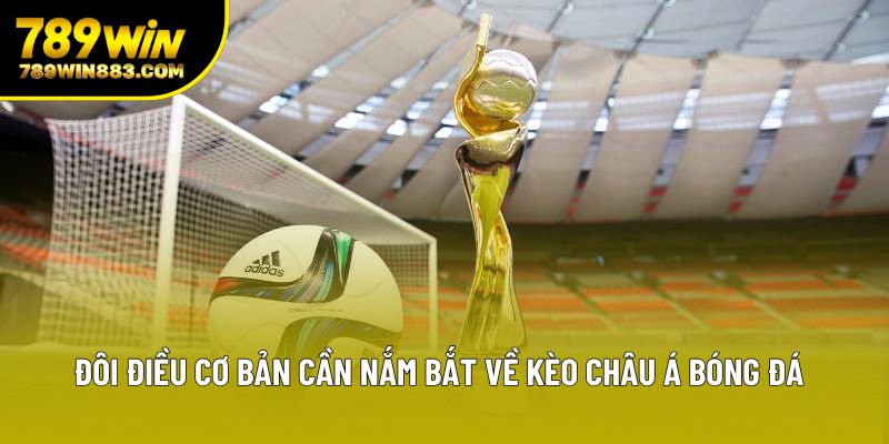 Đôi điều cơ bản cần nắm bắt về kèo châu Á bóng đá