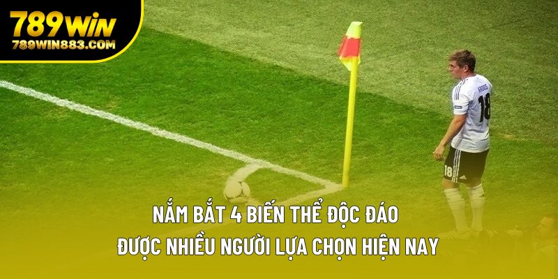 Nắm bắt 4 biến thể độc đáo, được nhiều người lựa chọn hiện nay Nắm bắt 4 biến thể độc đáo, được nhiều người lựa chọn hiện nay