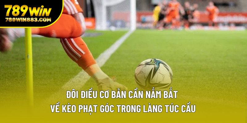 Đôi điều cơ bản cần nắm bắt về kèo phạt góc trong làng túc cầu Đôi điều cơ bản cần nắm bắt về kèo phạt góc trong làng túc cầu