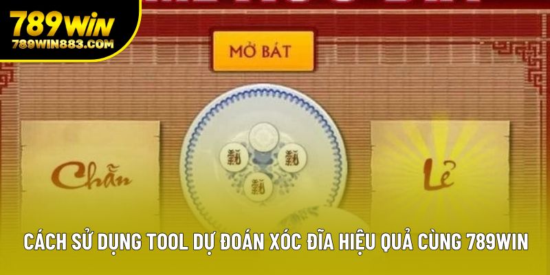Cách Sử Dụng Tool Dự Đoán Xóc Đĩa Hiệu Quả Cùng 789win
