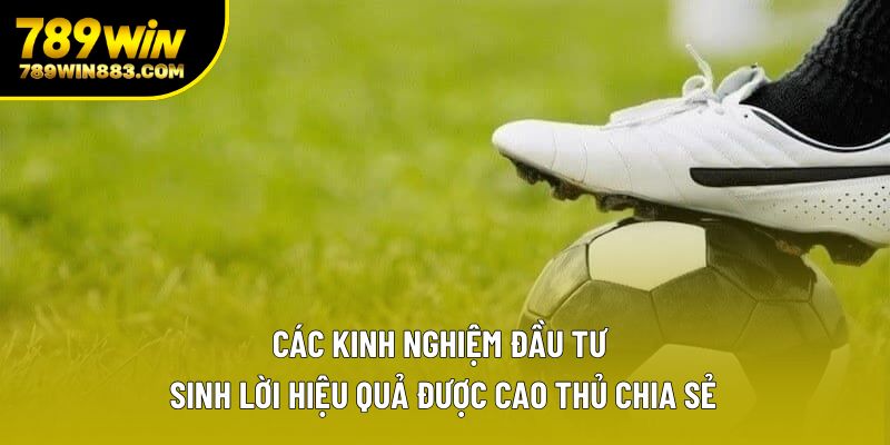 Các kinh nghiệm đầu tư sinh lời hiệu quả được cao thủ chia sẻ