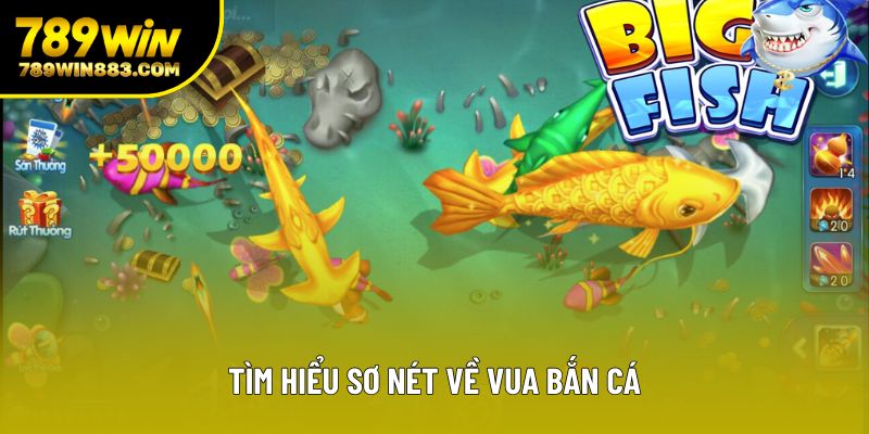 Tìm hiểu sơ nét về vua bắn cá